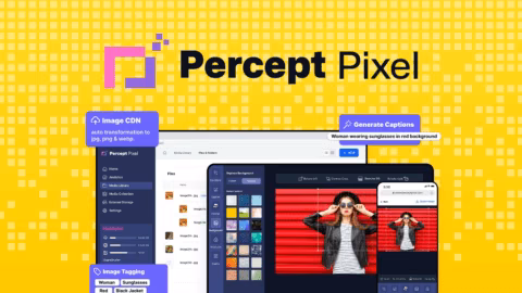 PerceptPixel