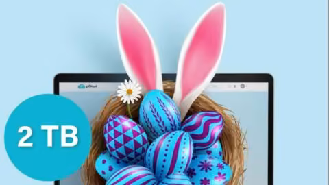 pCloud: Easter 2024 Promotion for Family Plans